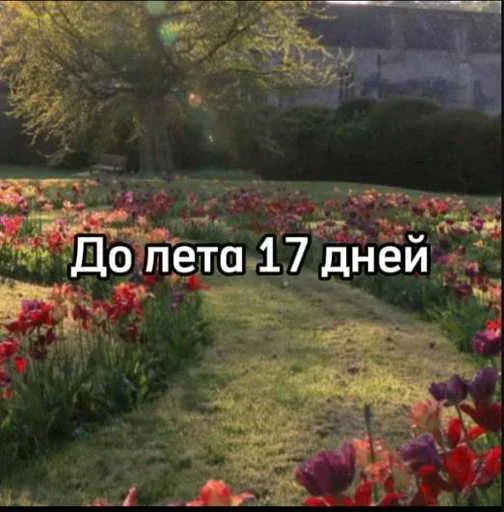 Статичное изображение пейзажа с наложенным текстом.