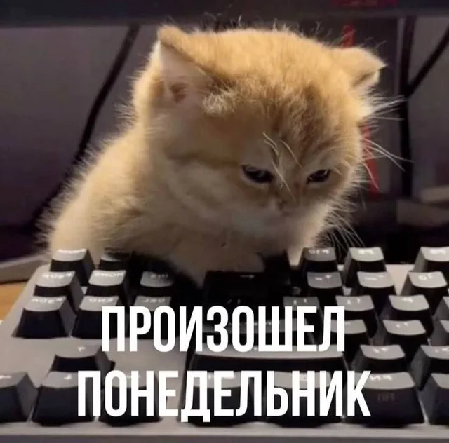 Произошел понедельник
