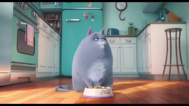 Толстая кошка Хлоя из Тайной жизни домашних животных