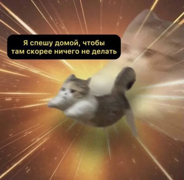 Кот летит сквозь пространство, создавая эффект сверхскорости — пушистый кот
