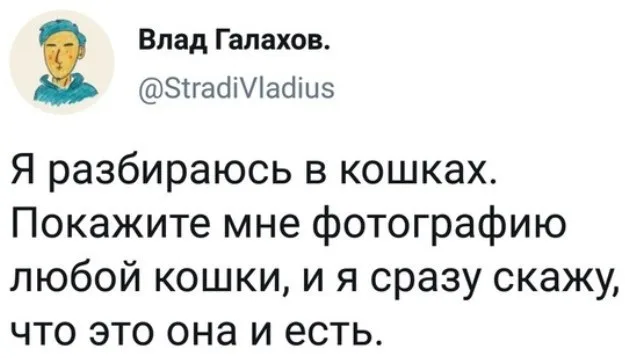 Скриншот твита с текстом
