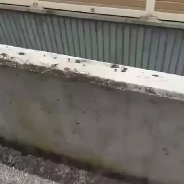 Это пиздец, я же не знал что петарды нельзя взрывать