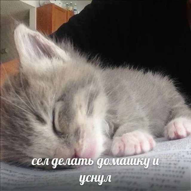 Сел делать домашку и уснул