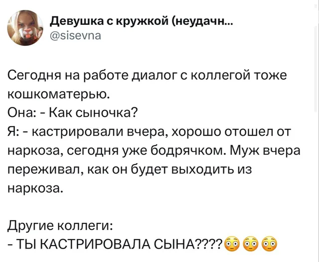 Диалог кошкоматерей на работе