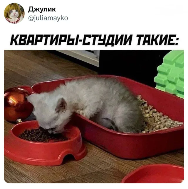 Квартиры-студии такие