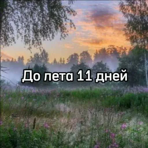 До лета осталось 11 дней