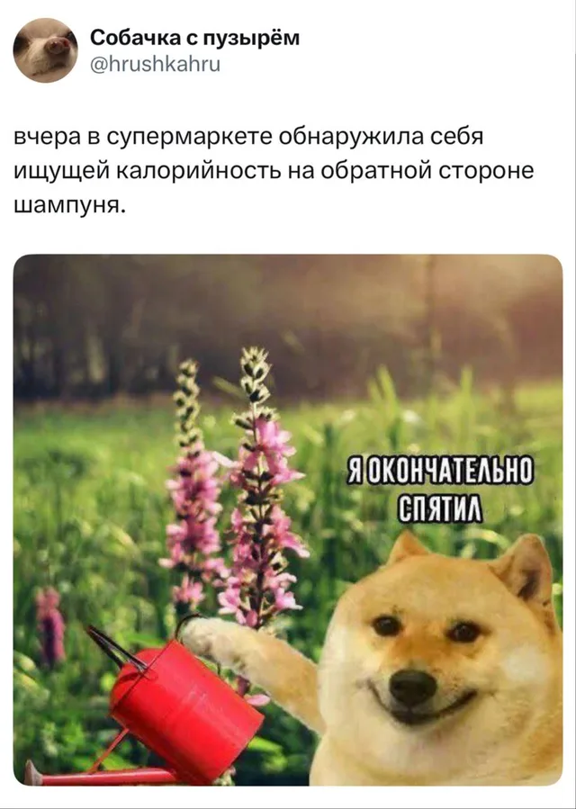 Я окончательно спятил