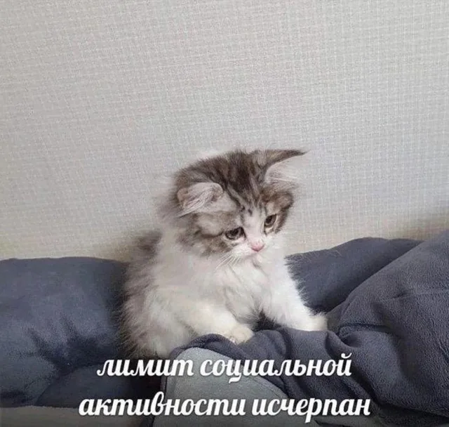 Лимит социальной активности исчерпан