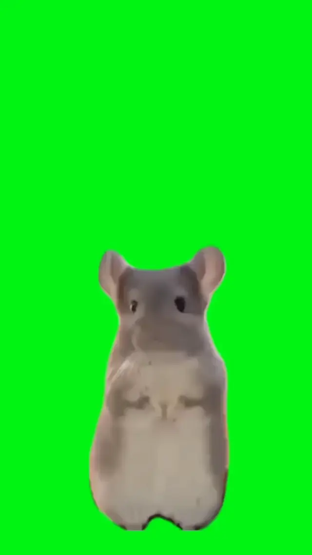 Грустный хомяк со скрипкой