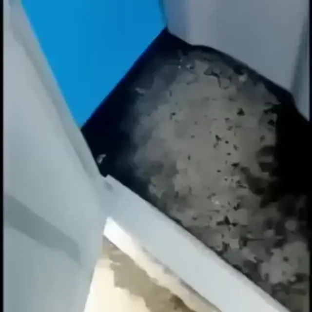 Зачем ты в толчок залез?