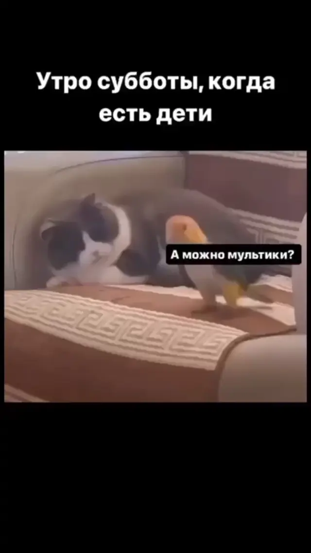 Утро субботы, когда есть дети