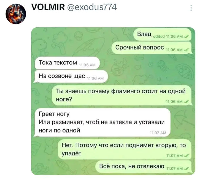 Срочный вопрос про фламинго
