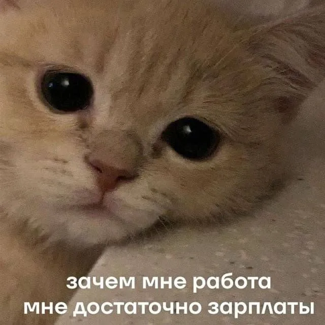 Зачем мне работа, мне достаточно зарплаты