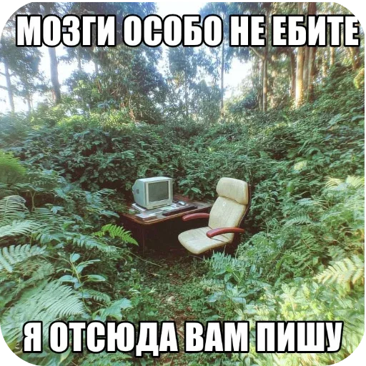 Статичное изображение рабочего места на фоне дикой природы.