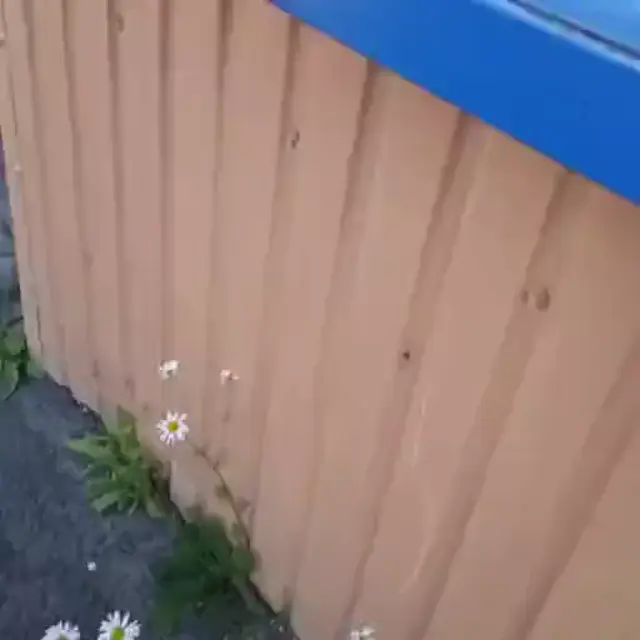 Мне нужен хуй двадцатисантиметровый