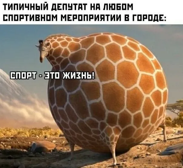 Жираф просто стоит, демонстрируя свою гипертрофированную полноту.