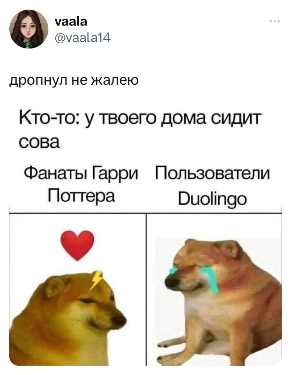 Сова у дома: магия против паники