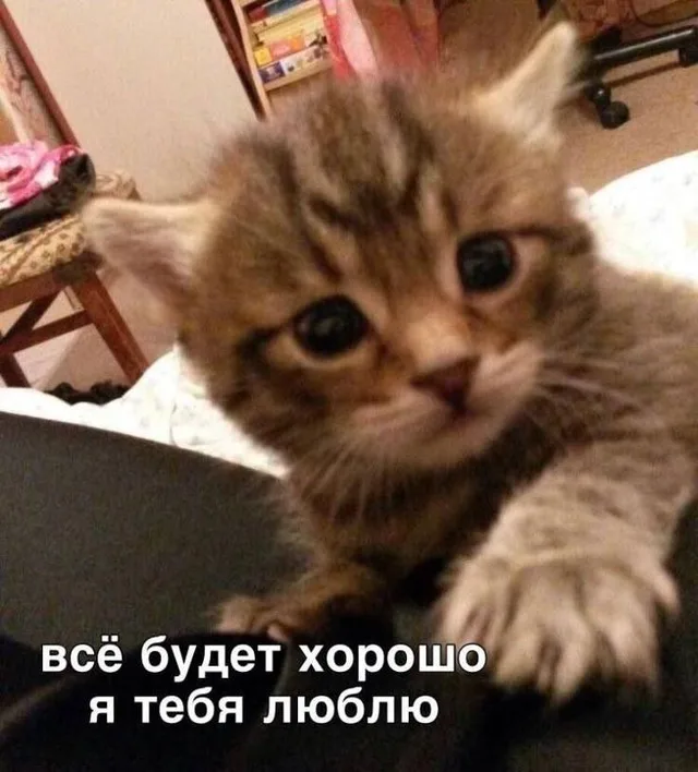 Всё будет хорошо, я тебя люблю