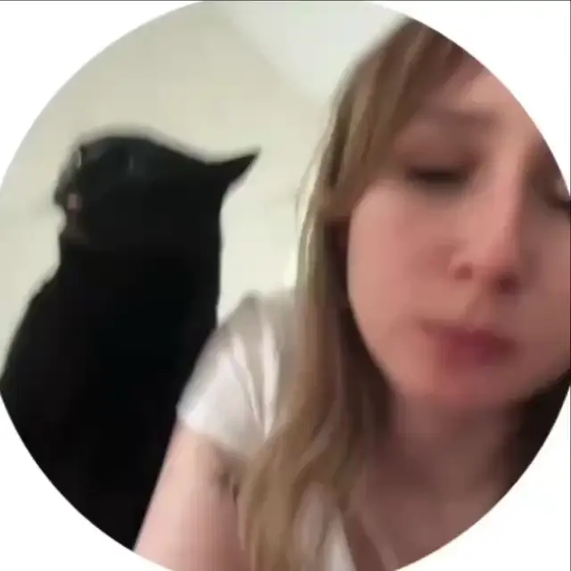 Черный кот мешает хозяйке записывать видео