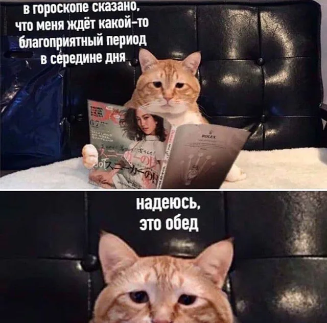 Гороскоп обещает благоприятный обед