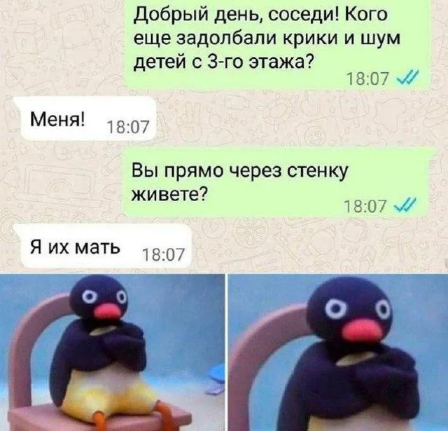 Сначала идет текст переписки, затем статичное изображение пингвина, выражающего немую реакцию на прочитанное.