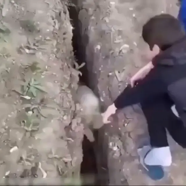 Когда жизнь ничему не учит
