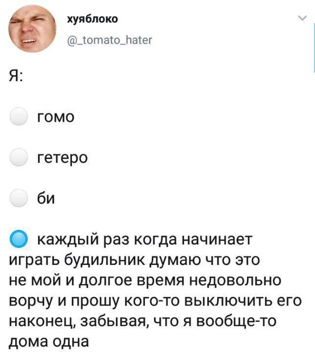 Скриншот твита с опросом, где выбран последний вариант с длинным текстом — Автор поста @_tomato_hater