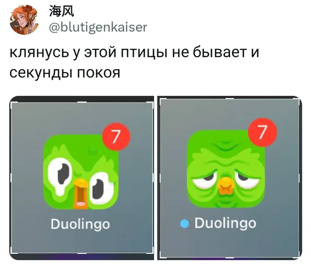 Сравнение двух вариантов иконки приложения Duolingo, которые меняются в зависимости от активности пользователя. — сова Duolingo