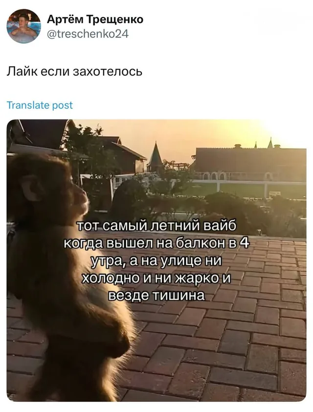 Тот самый летний вайб в 4 утра
