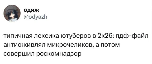 Типичная лексика ютуберов в 2k26
