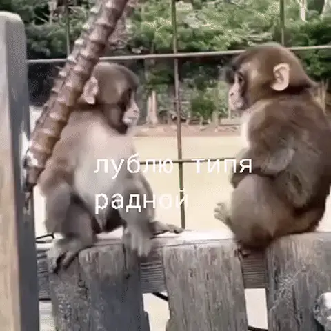 Лублю типа радной