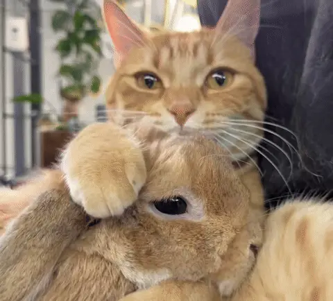 Когда успокаиваешь лучшего друга