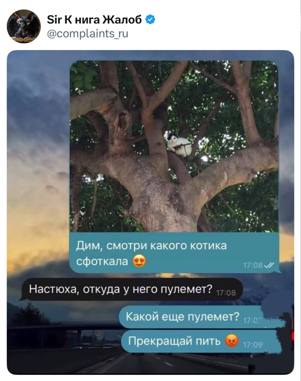 Кот с пулеметом на дереве