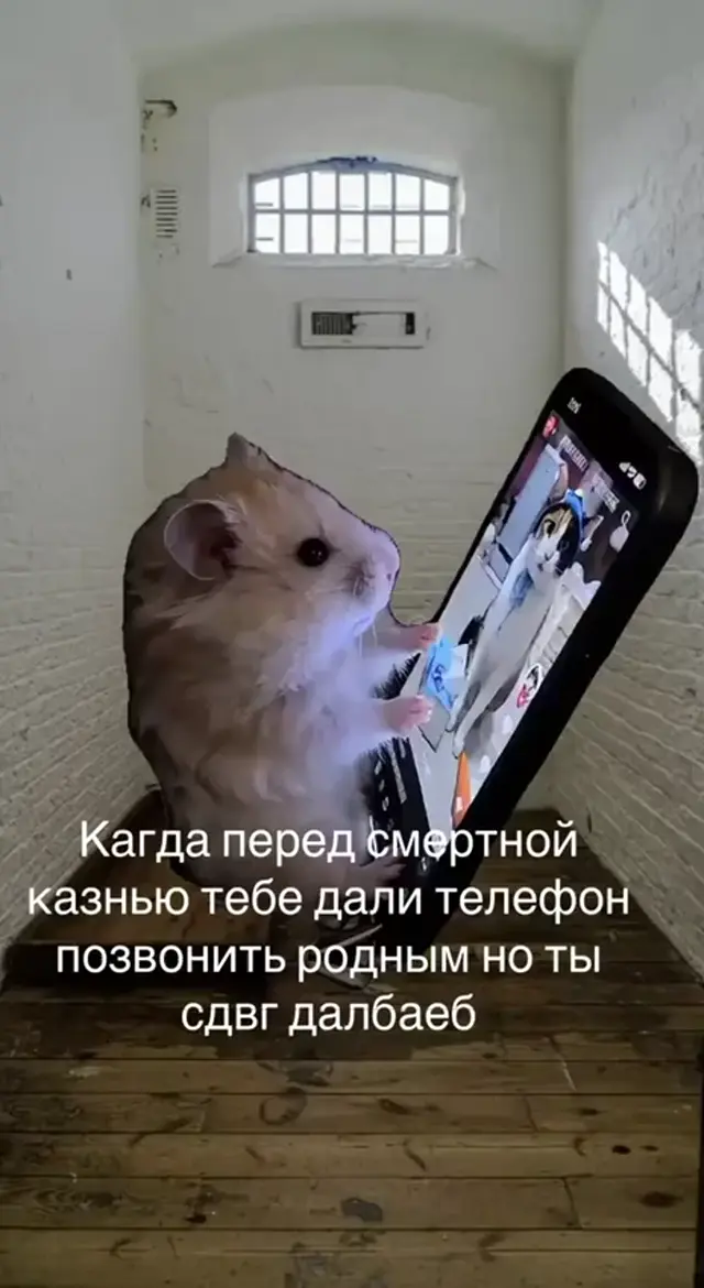 Когда дали телефон перед смертной казнью