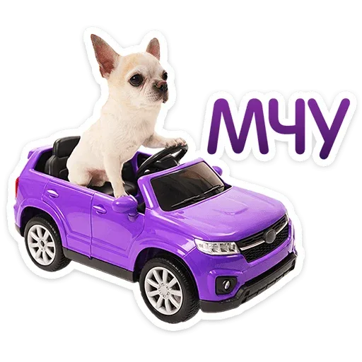 Собака сидит в игрушечной машине, имитируя вождение. — Грю Фелониус