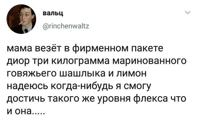 Скриншот твита с текстом о маме, везущей шашлык в брендовом пакете — автор поста