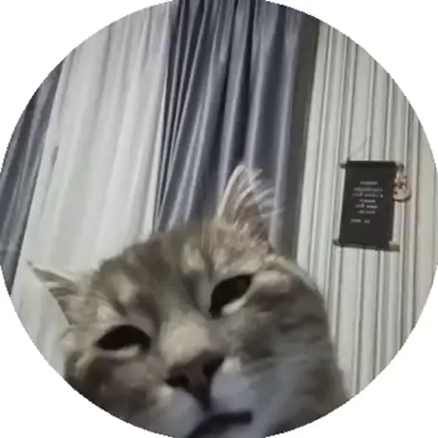 Кот слушает рингтон на звонке
