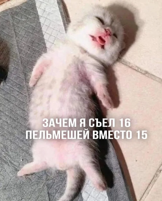 Зачем я съел 16 пельмешей вместо 15