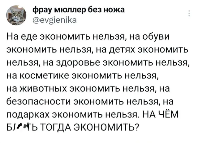 Текст поста с перечислением сфер, на которых нельзя экономить, заканчивающийся риторическим вопросом с нецензурным выражением. — автор поста