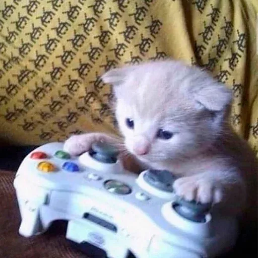Котёнок держит лапы на белом геймпаде Xbox, глядя вниз — Маленький светлый котёнок