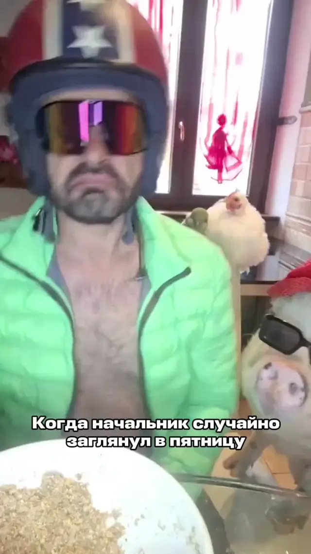 Мужчина в шлеме и свинья в очках тусуются