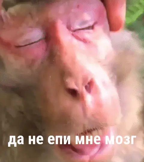 Да не епи мне мозг