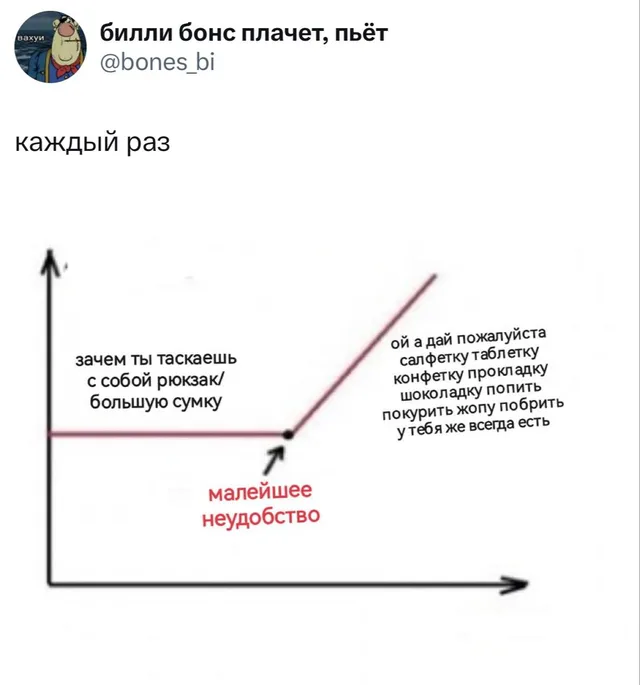 График про большую сумку и малейшее неудобство