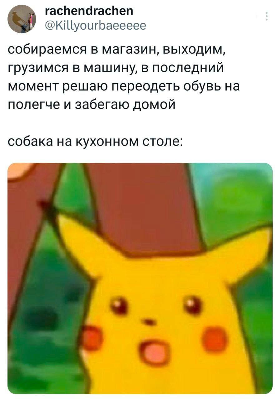 Π£Π΄ΠΈΠ²Π»Π΅Π½Π½ΡΠΉ ΠΠΈΠΊΠ°ΡΡ ΠΈ ΡΠΎΠ±Π°ΠΊΠ° Π½Π° ΡΡΠΎΠ»Π΅