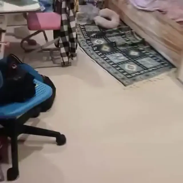 Сима немножко разозлился