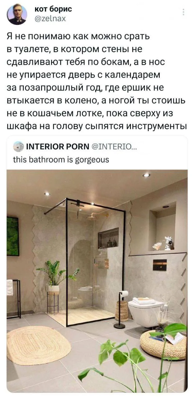 Скриншот твита с текстом жалобы на комфортные условия и фотографией красивой ванной комнаты — автор поста кот борис