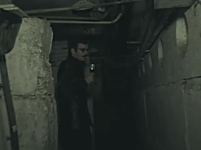 Тише, мыши, кот на крыше