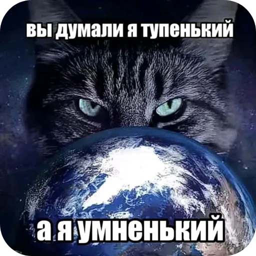 Статичное изображение кота, «держащего» лапами или просто возвышающегося над земным шаром. — кот