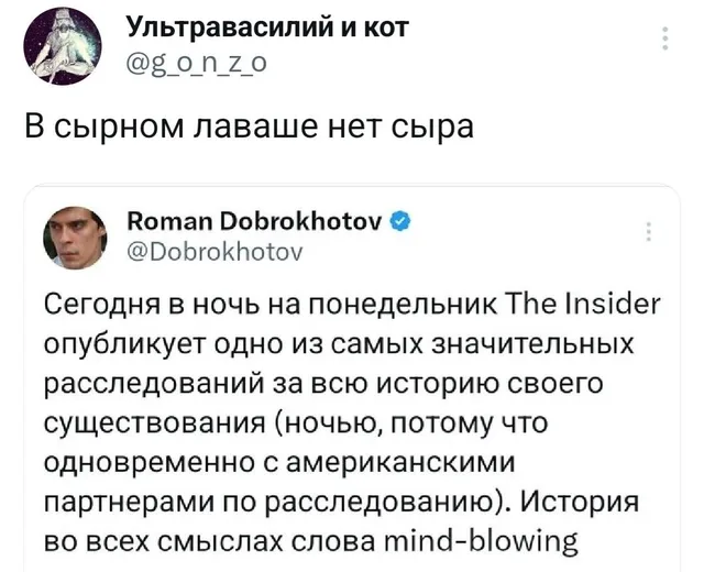 Текст твита Романа Доброхотова о важном расследовании перекрыт ироничным комментарием сверху. — автор поста «Ультравасилий и кот»