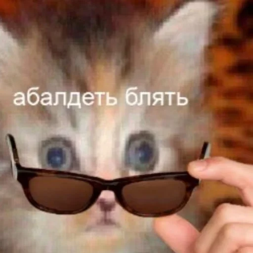 Абалдеть блять